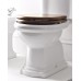 SAPHO RETRO 109340 WC sedátko, polyester, ořech/bronz