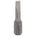 BOSCH Šroubovací bit zvlášť tvrdý Extra-Hart S 0,6x4,5, 25 mm 2607001459