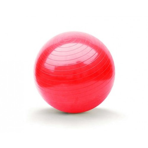SPORTWELL Gymnastický míč 65cm 52YB65