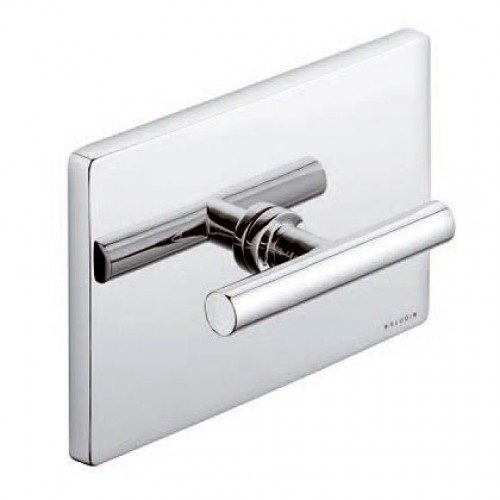 KLUDI New Waves WC ovládací deska chrom 579900530 KLUDI New Waves WC ovládací deska chrom 579900530