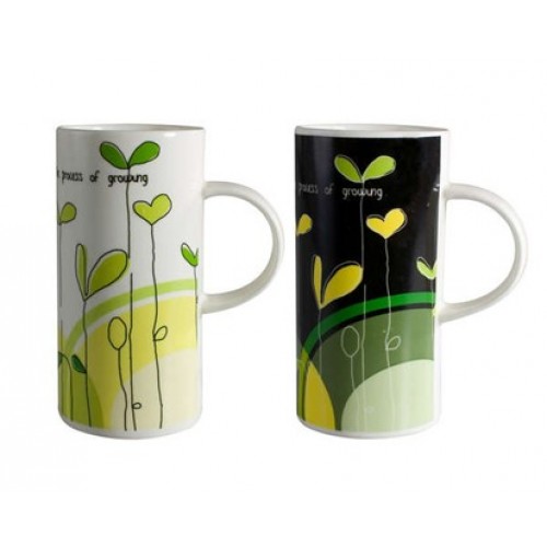 BANQUET Hrnek Modern Plants 2assorted 60H0682