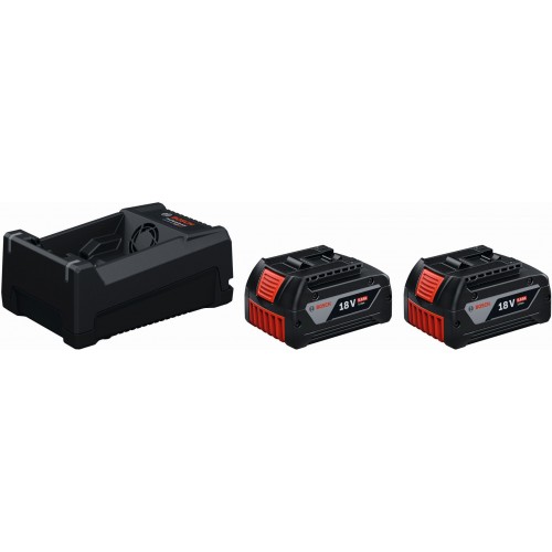 BOSCH 2x GBA 18V 5.0Ah + GAL 12V/18V-80 PROFESSIONAL Startovací sada 1600A03CH1 BOSCH 2x GBA 18V 5.0Ah + GAL 12V/18V-80 PROFESSIONAL Startovací sada 1600A03CH1
