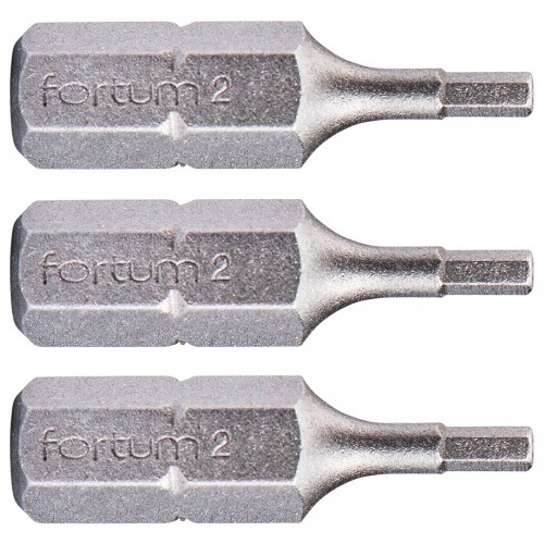 FORTUM hrot imbus sada 3ks, H 2x25mm, S2 4741502 FORTUM hrot imbus sada 3ks, H 2x25mm, S2 4741502