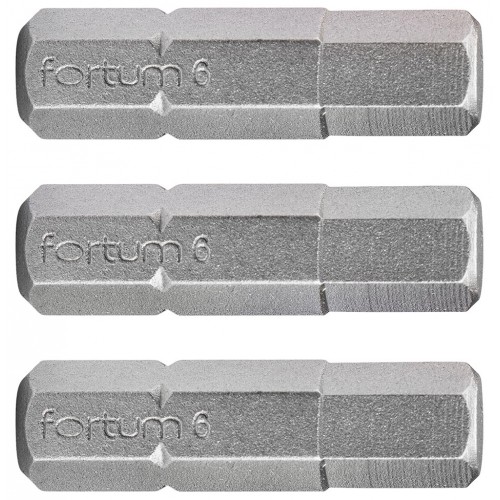 FORTUM hrot imbus sada 3ks, H 6x25mm, S2 4741508