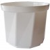 PLASTKON Dekorativní květináč Rosa 15 cm bílá
