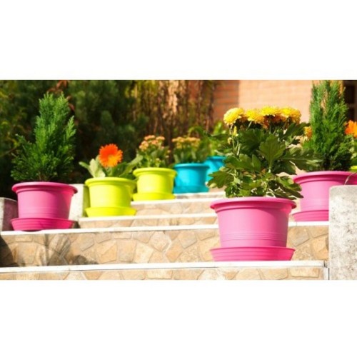 PLASTKON Květináč Campanula 28 cm hráškovo zelená PLASTKON Květináč Campanula 28 cm hráškovo zelená