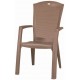 ALLIBERT MINNESOTA Zahradní židle, 61 x 65 x 99 cm, cappuccino 17198329