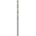 BOSCH Vrták do kovu PRO Metal HSS-G standardní délky, 3,7 × 39 × 70 mm, 10 ks 2608585483