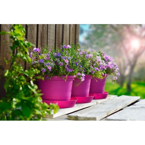 PLASTKON Květináč Campanula 23 cm hráškově zelená