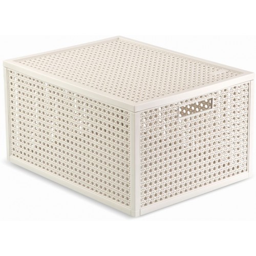 CURVER KAYA M 20L Úložný box, 37,6 x 30 x 20,7 cm, béžová 17213763