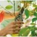 Fiskars Plant Care Zahradní nůžky s pouzdrem, 20cm 1075314