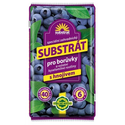 FORESTINA Substrát pro borůvky 40l