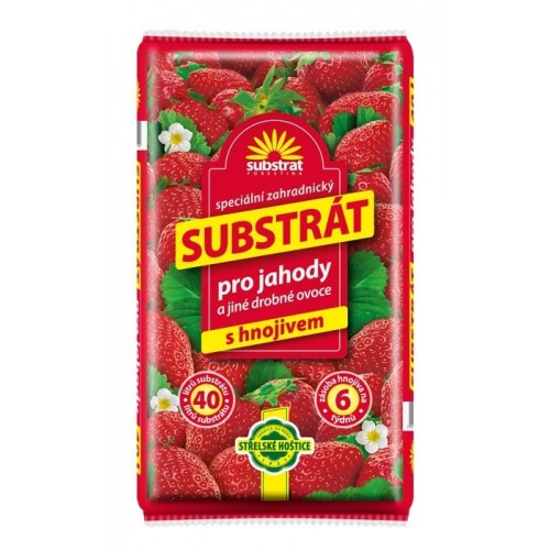FORESTINA Substrát pro jahody a jiné drobné ovoce 40l