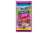 Hoštický substrát - Substrát pro Surfinie a petúnie 20l