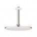 GROHE Rainshower - Hlavová sprcha Cosmopolitan,stropní výpusť 142 mm,bílá/chrom 26053LS0