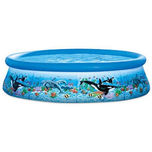 INTEX OCEAN REEF EASY SET® POOL SET (w/12V Filter Pump), Ages 6+ 10'x30" 28126GN