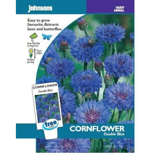 JOHNSONS Chrpa „Double blue“ 11202