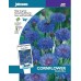JOHNSONS Chrpa „Double blue“ 11202