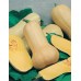 JOHNSONS Dýně Butternut SPRINTER F1 22999