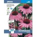 JOHNSONS Echinacea „Bravado“ 15958