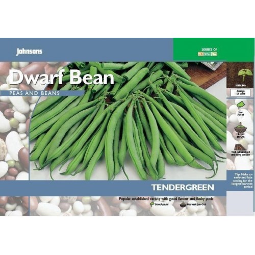 JOHNSONS Fazol „Tendergreen“ 15926 JOHNSONS Fazol „Tendergreen“ 15926