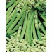 JOHNSONS Fazole (FLAGEOLET) FLAGRANO 22984