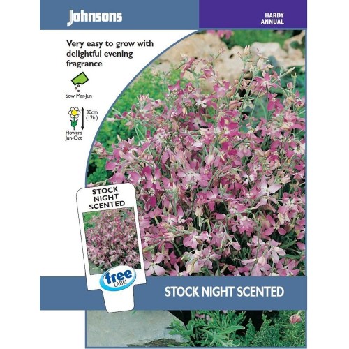 JOHNSONS Fiala „Night scented“ 10739