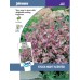 JOHNSONS Fiala „Night scented“ 10739