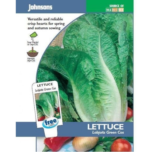 JOHNSONS Hlávkový salát „Lobjoits Green Cos“ 10089