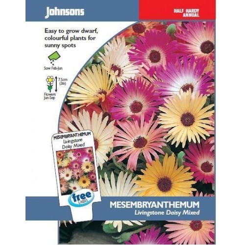 JOHNSONS Kosmatec „Livingstone Daisy Mixed“ 16283 JOHNSONS Kosmatec „Livingstone Daisy Mixed“ 16283