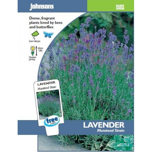 JOHNSONS Levandule „Munstead strain“ 11700S
