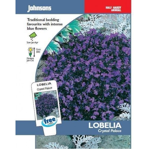 JOHNSONS Lobelka „Crystal Palace“ 13338