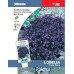 JOHNSONS Lobelka „Crystal Palace“ 13338