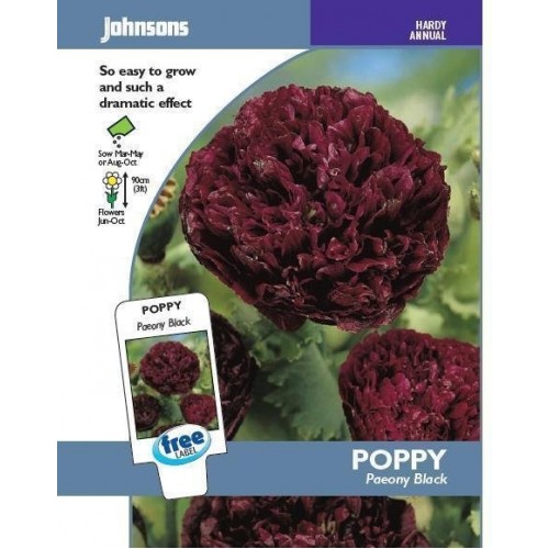 JOHNSONS Mák „Paeony Black“ 11132