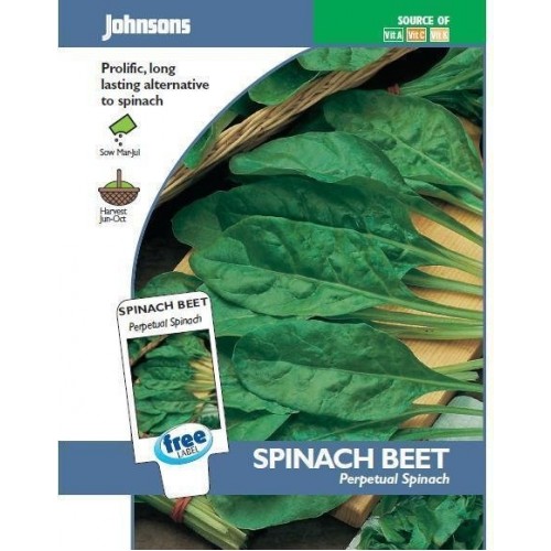 JOHNSONS Mangold „Perpetual spinach“ 10486