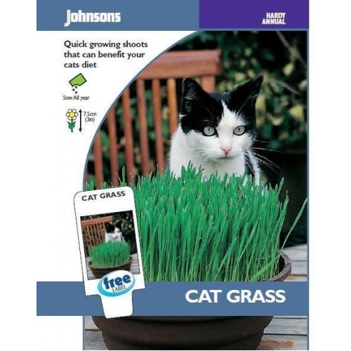 JOHNSONS Oves „Cat grass“ 11147 JOHNSONS Oves „Cat grass“ 11147