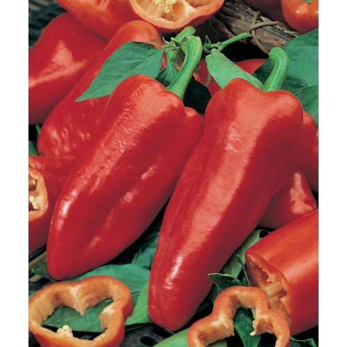 JOHNSONS Paprika SWEET ROMANO 22985