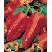 JOHNSONS Paprika SWEET ROMANO 22985