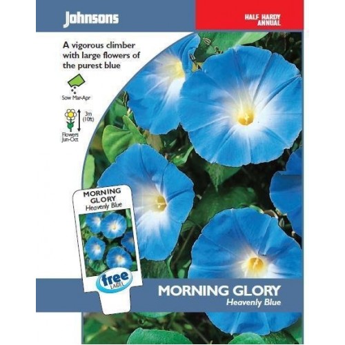 JOHNSONS Povíjnice „Heavenly Blue“ 10241 JOHNSONS Povíjnice „Heavenly Blue“ 10241