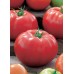 JOHNSONS RAJČE BIG RED F1 23000
