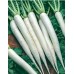 JOHNSONS Ředkev daikon mooli MINOWASE NR 2 22991
