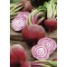 JOHNSONS Řepa CHIOGGIA 22975