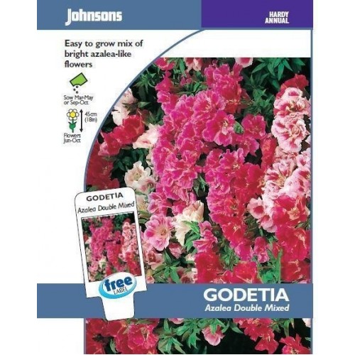 JOHNSONS Zářivka „Azalea double mixed“ 11015
