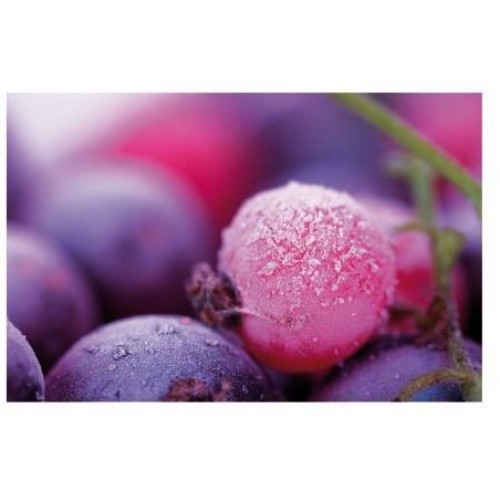 KELA Prostírání PICTURE bobule KL-15035 KELA Prostírání PICTURE bobule KL-15035