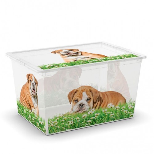 KIS C BOX PUPPY & KITTEN XL 55x38,5x30,5cm 50L KIS C BOX PUPPY & KITTEN XL 55x38,5x30,5cm 50L