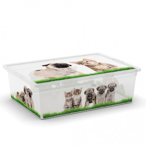 KIS C BOX PUPPY & KITTEN L 55x38,5x16,5cm 27L KIS C BOX PUPPY & KITTEN L 55x38,5x16,5cm 27L