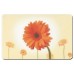 KELA Prostírání PICTURE gerbera KL-15056