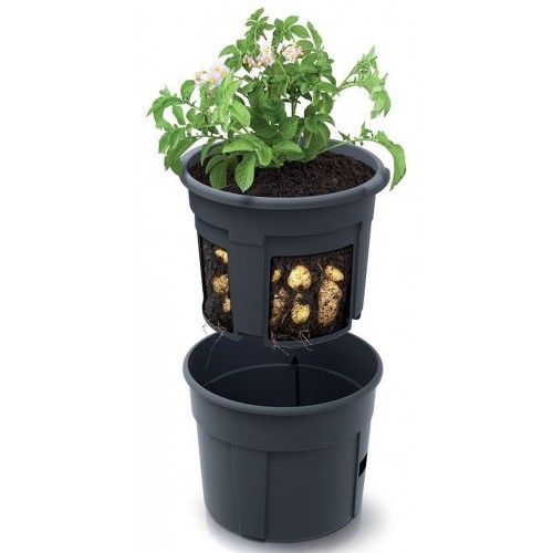 Prosperplast POTATO GROWER Květináč na pěstování brambor 29,5cm, antracit IZIE300