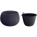 Prosperplast SPLOFY Bowl květináč 23,9cm, 2,3l, antracit DKSP240