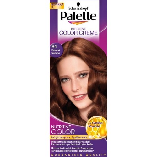 PALETTE ICC R4 Barva na vlasy kaštanová